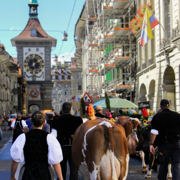 IMG_4363_korrigiert-2