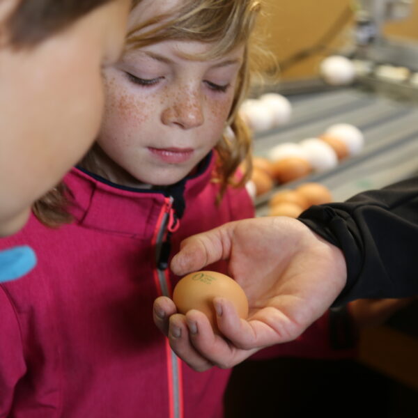 SchuB_Hof_Trimstein_1