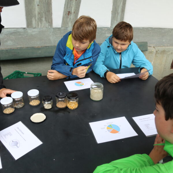 SchuB_Hof_Trimstein_2