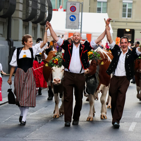 Sichlete_2025_Alpabzug